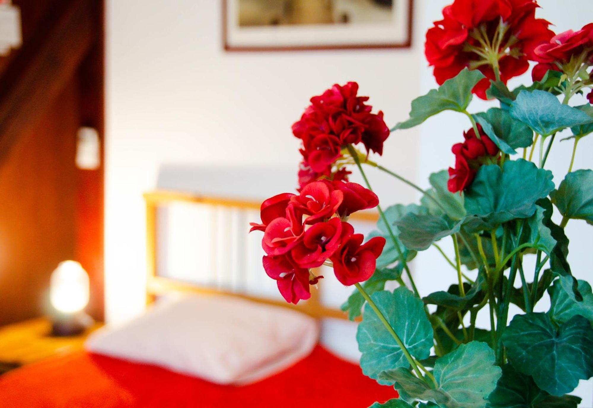 Conacul Bunicilor Hotel Novaci Ngoại thất bức ảnh